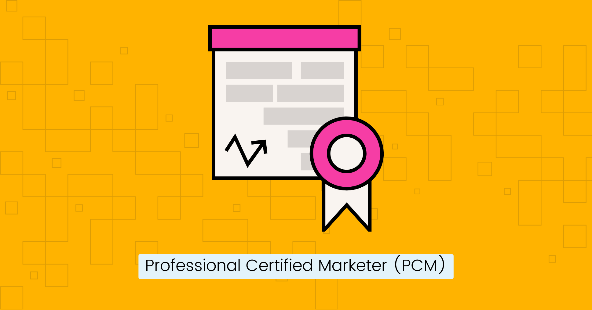 Professional Certified Marketer (PCM).png